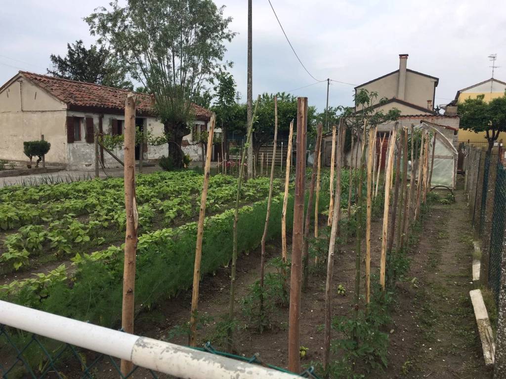 Casa indipendente a San martino di venezze in via don antonio magosso - Foto 2