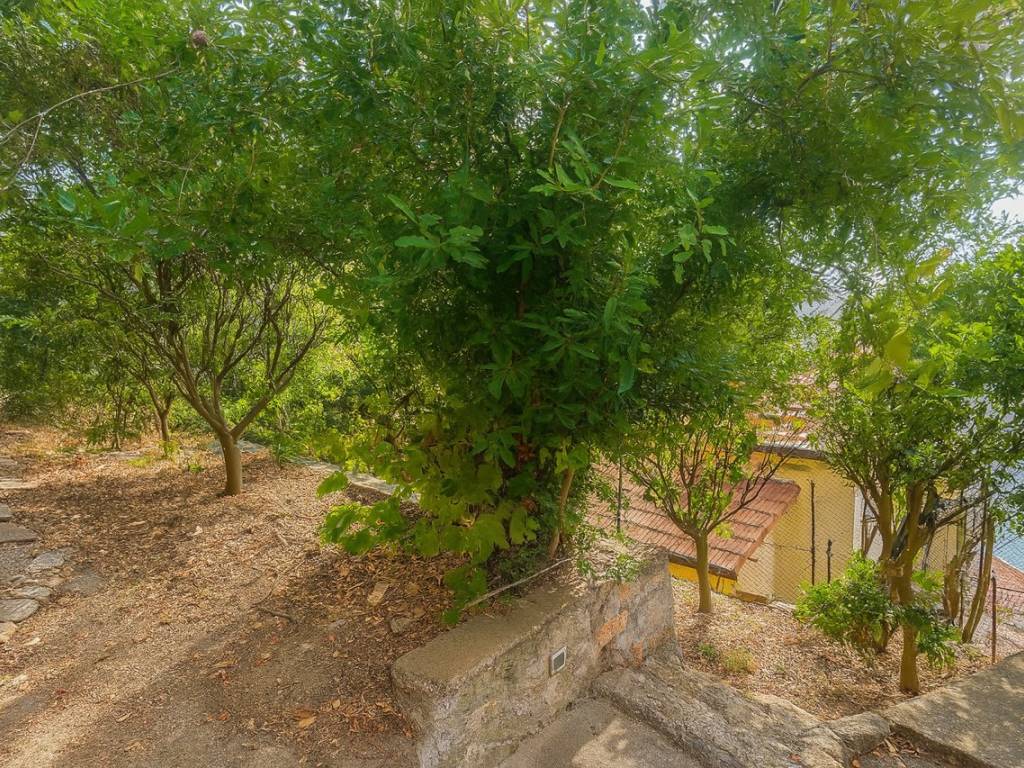Rustico / casale a Monte argentario in Via Discesa del Valle - Foto 5