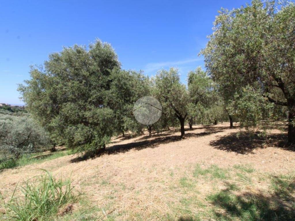 Terreno a Fara in sabina in Strada provinciale 41/c, 1 - Foto 2