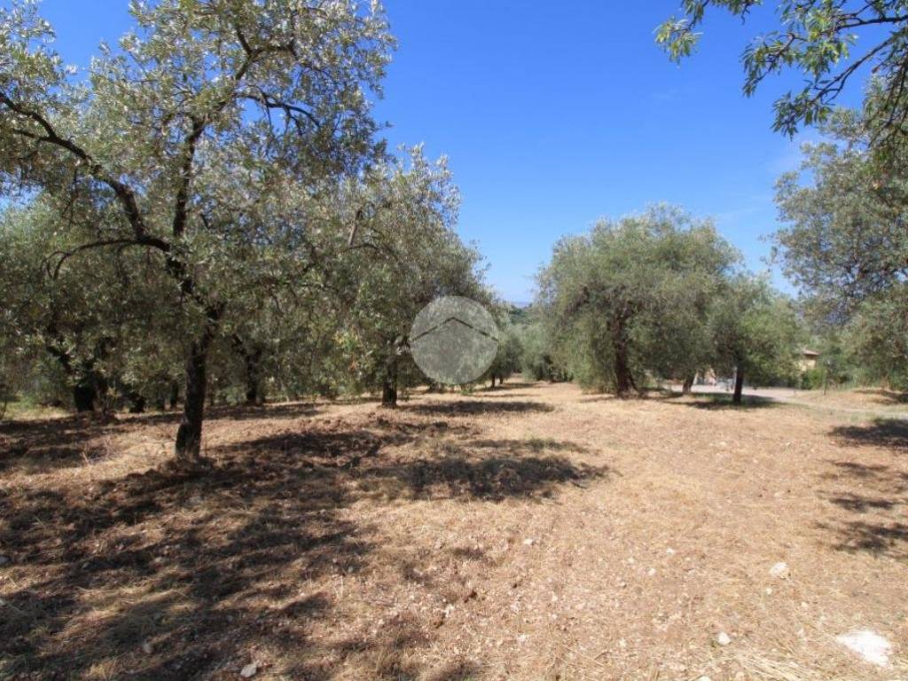 Terreno a Fara in sabina in Strada provinciale 41/c, 1 - Foto 5