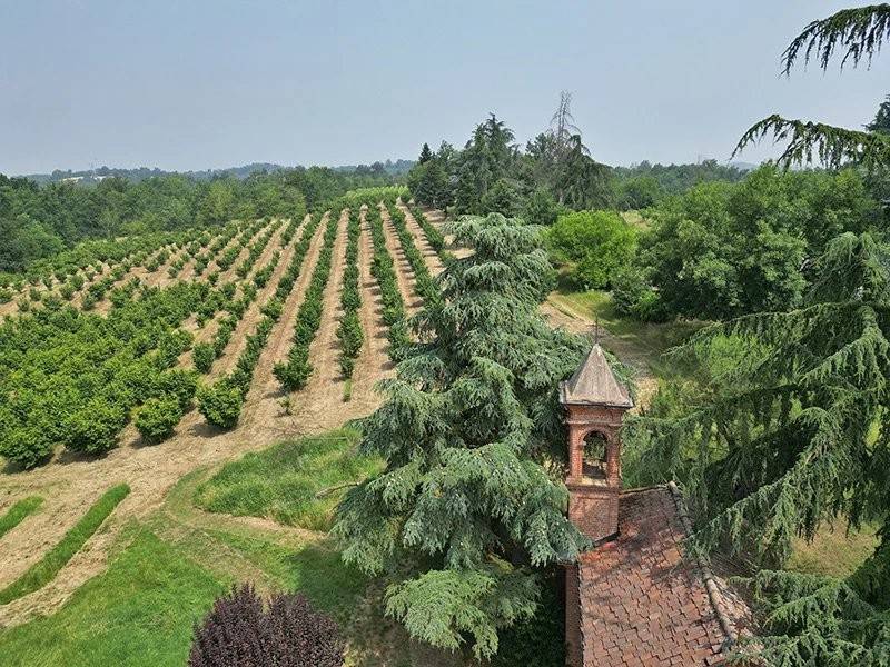 Villa a Asti - Foto 4