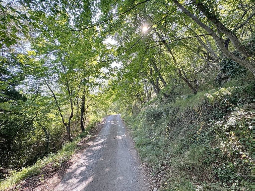 Villa a Perinaldo in Località Curli - Foto 4