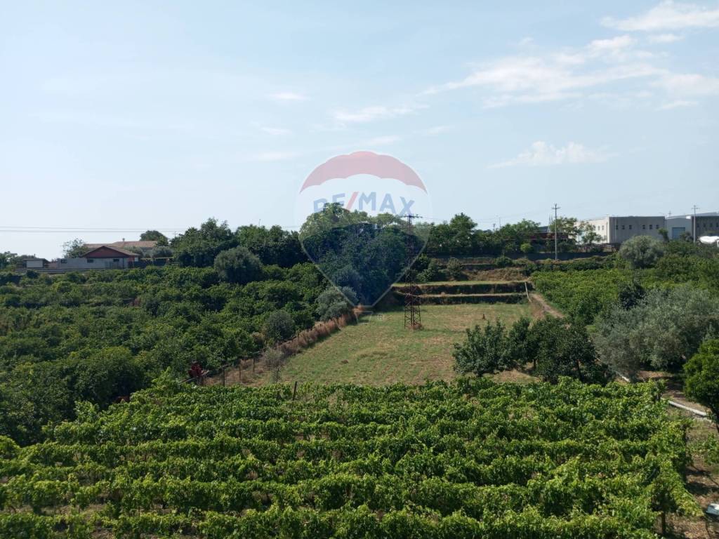 Villa a Santa venerina in Via Luigi Capuana - Foto 4