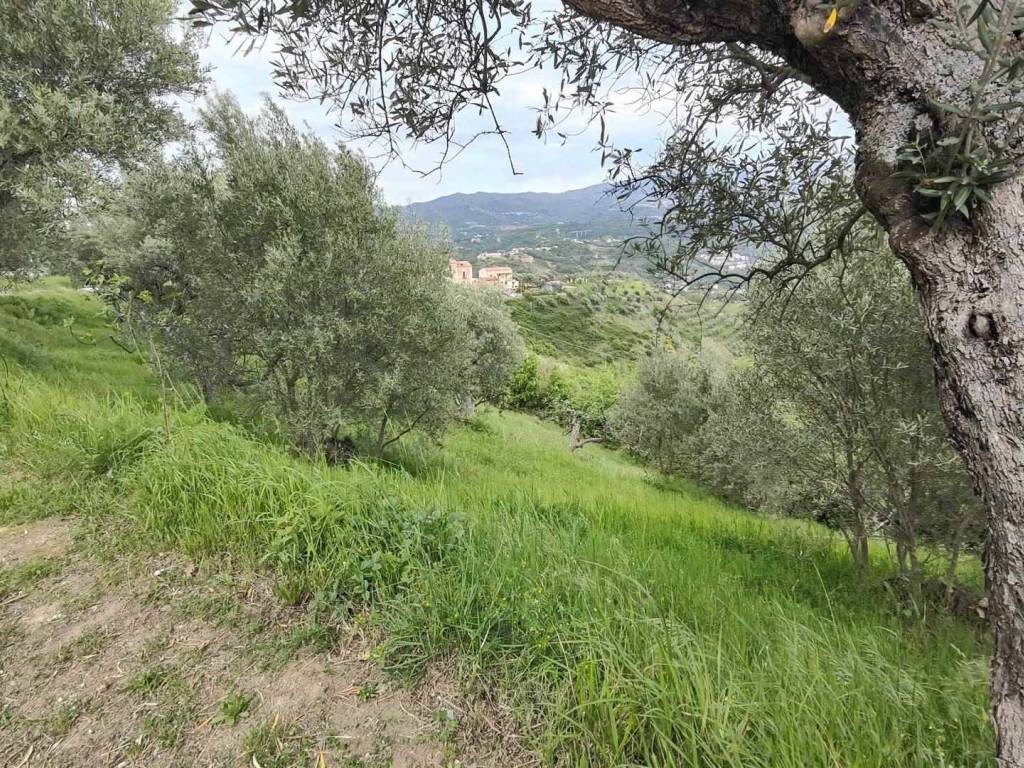 Terreno a Cosenza - Foto 3