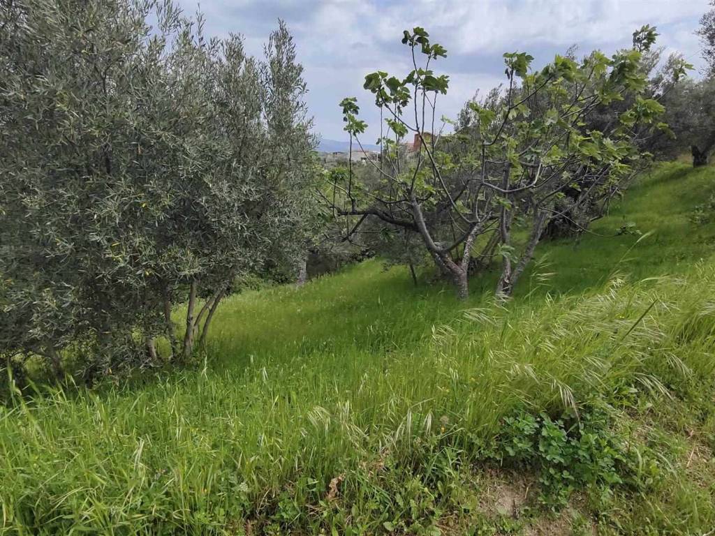 Terreno a Cosenza - Foto 4