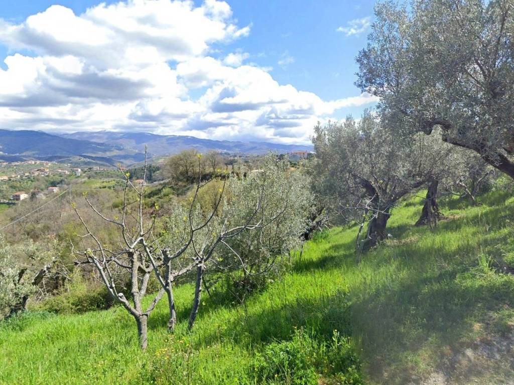 Terreno a Cosenza - Foto 5
