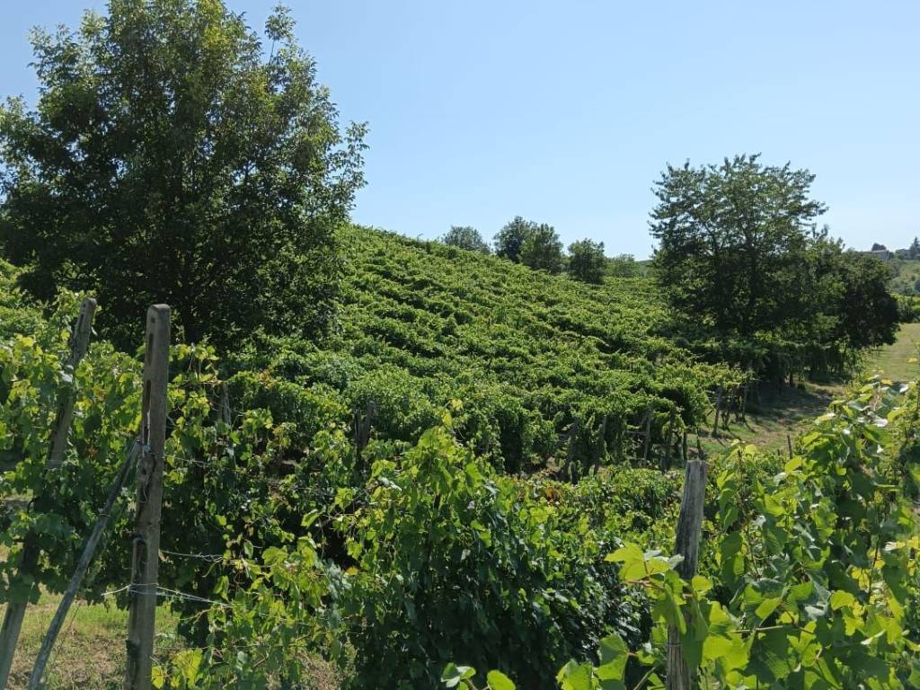 Terreno a Montù beccaria - Foto 2