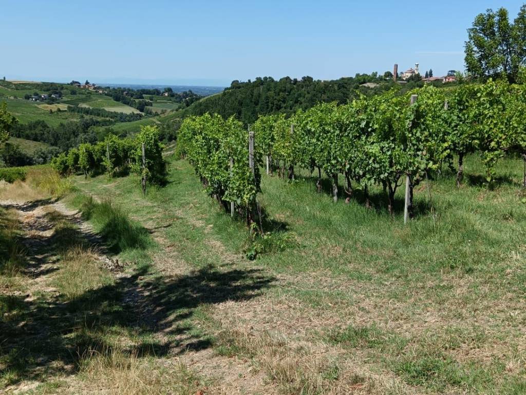 Terreno a Montù beccaria - Foto 3