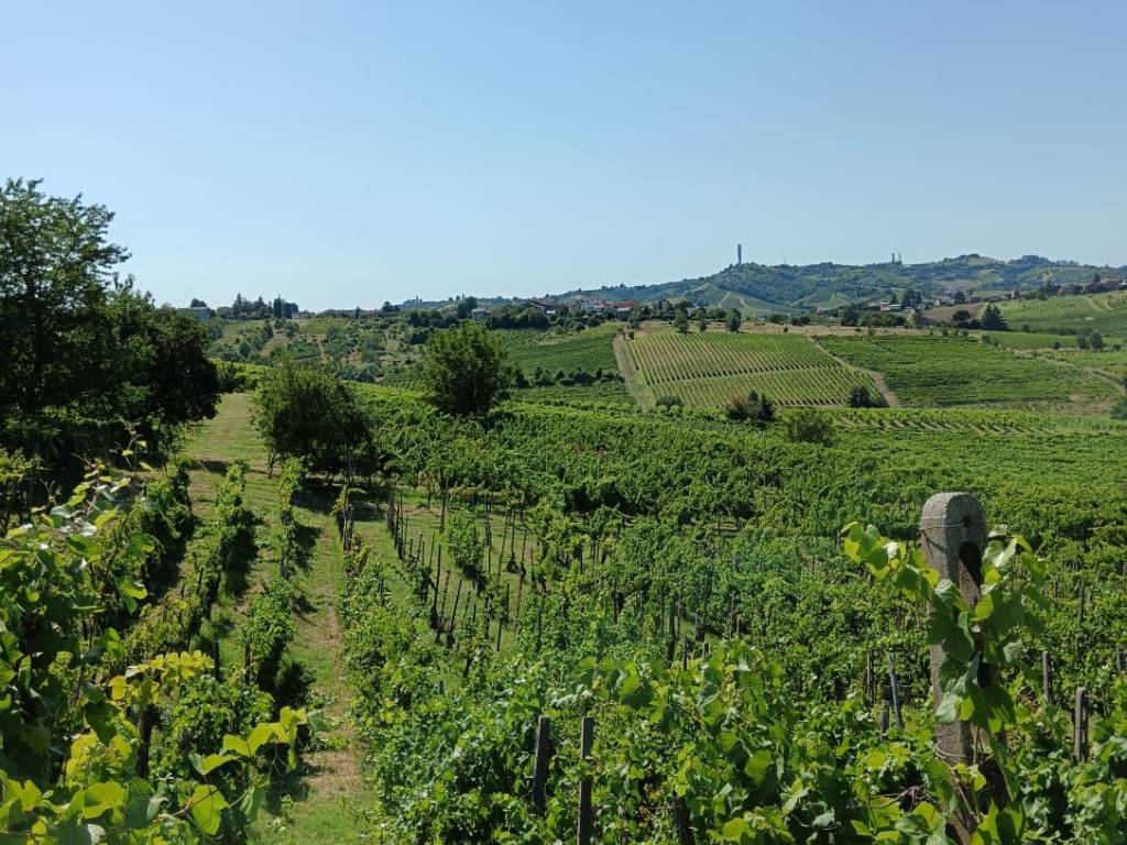 Terreno a Montù beccaria - Foto 4