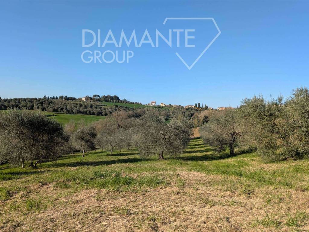 Terreno a Castiglione del lago - Foto 2