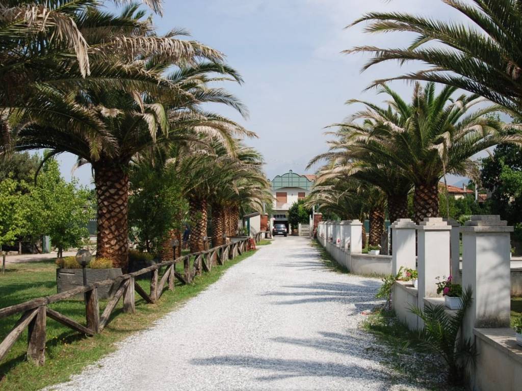 Villa a Pietrasanta - Foto 2