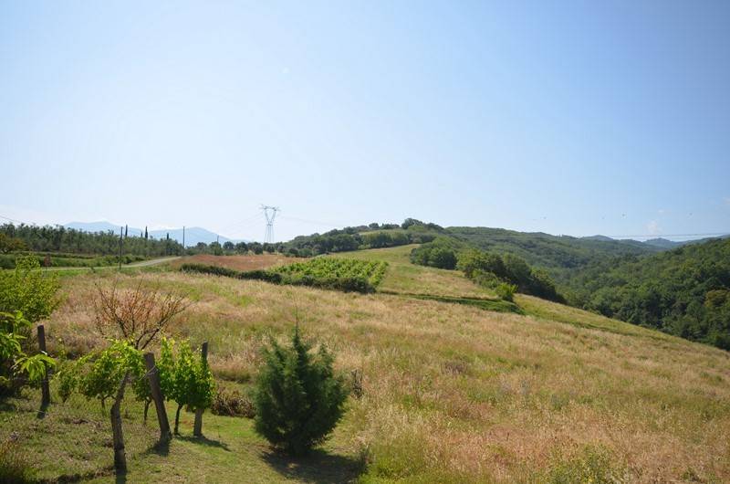 Terreno a Castel del piano in Via dell'Orcia - Foto 3