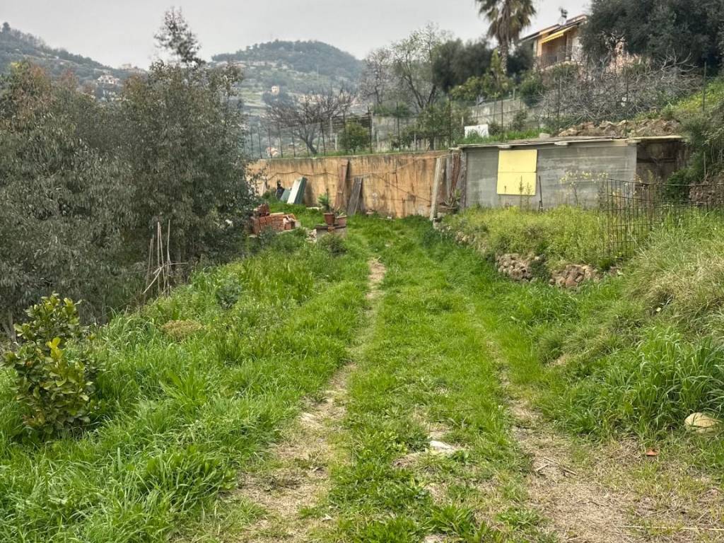 Rustico / casale a Bordighera in Strada Giambranca - Foto 2