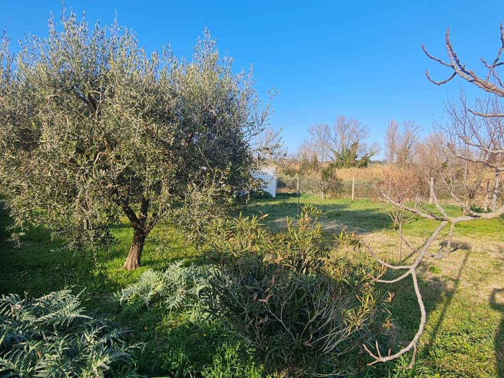 Villa a Castelbellino in Via Dante Alighieri - Foto 4