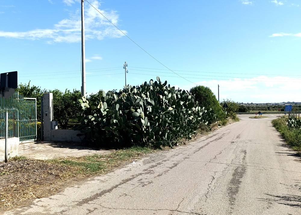 Villa a Bernalda in Contrada San Marco - Foto 3