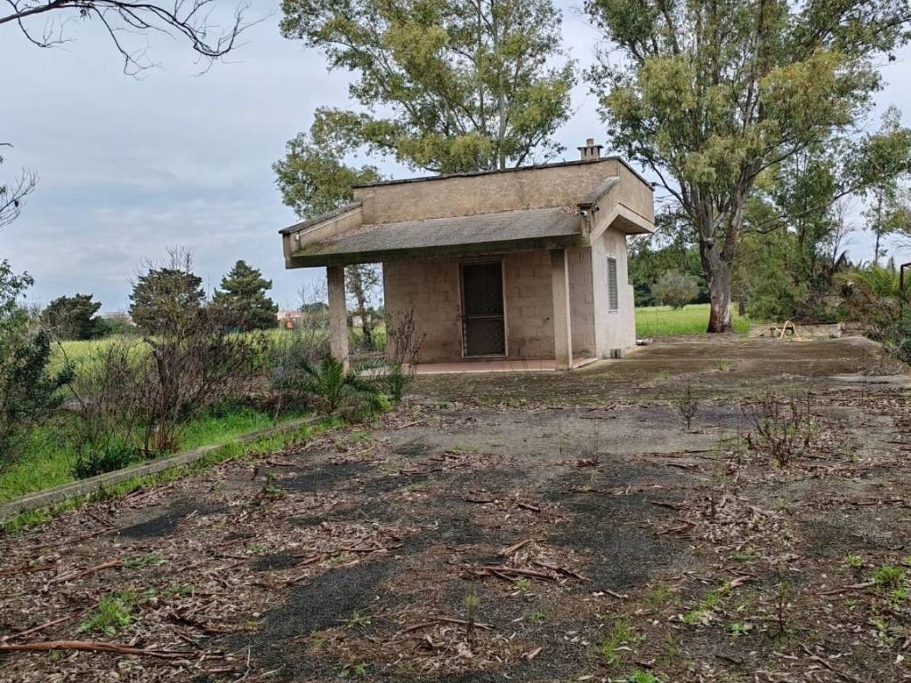 Terreno a Veglie in Strada Comunale Grandi Corti le Rene - Foto 2