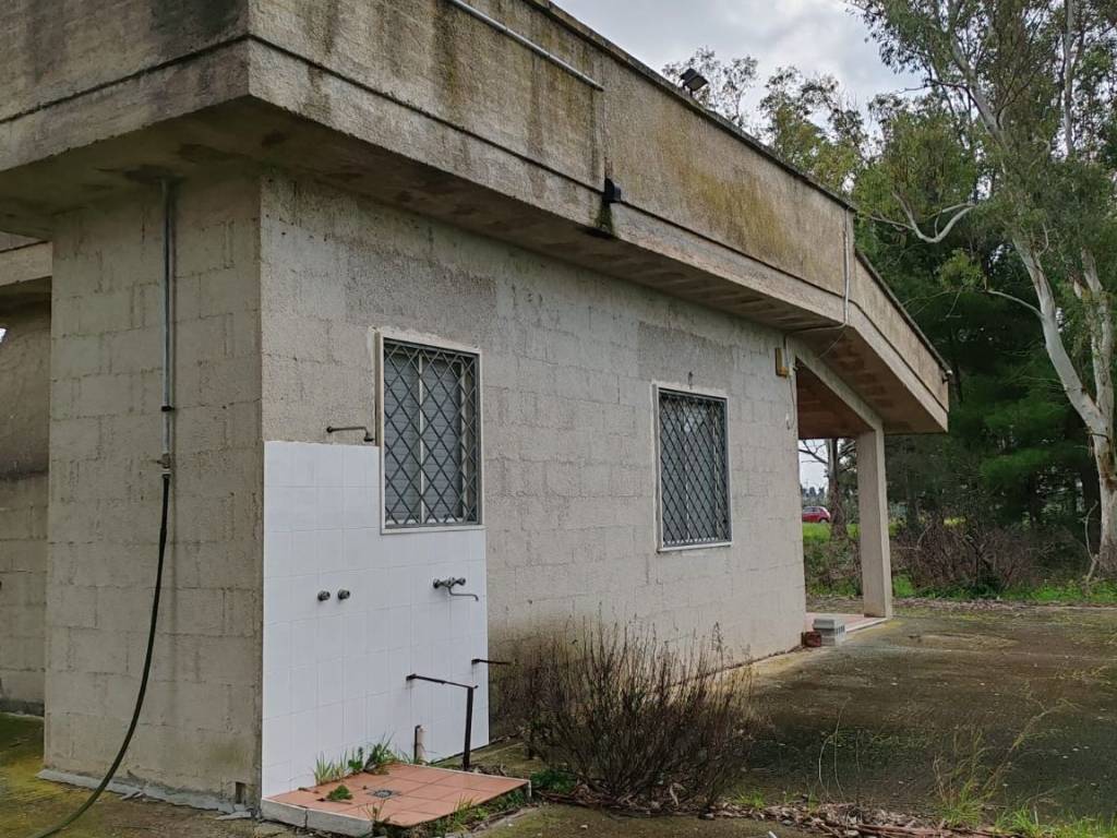 Terreno a Veglie in Strada Comunale Grandi Corti le Rene - Foto 5