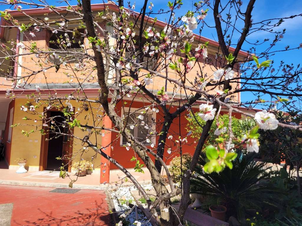 Appartamento a Villaspeciosa in via Sant'Ignazio - Foto 4