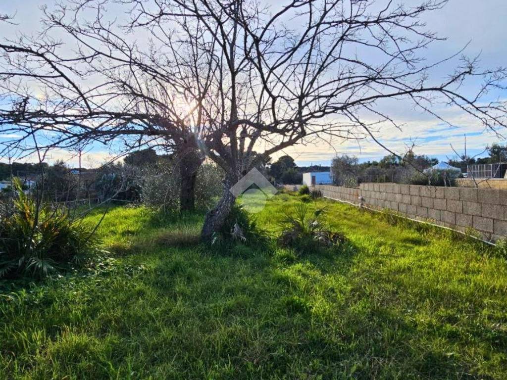 Rustico / casale a Nardò in Via san tommaso - Foto 2