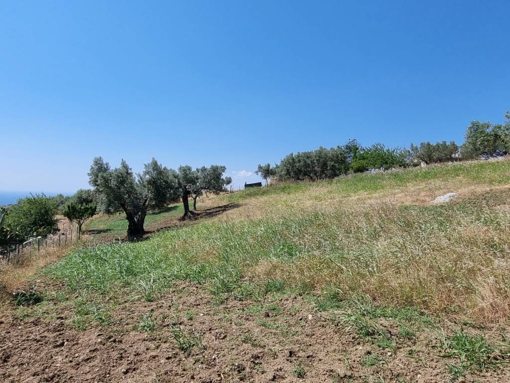 Terreno a Stalettì in Strada Provinciale Centoventidue, 29 - Foto 2