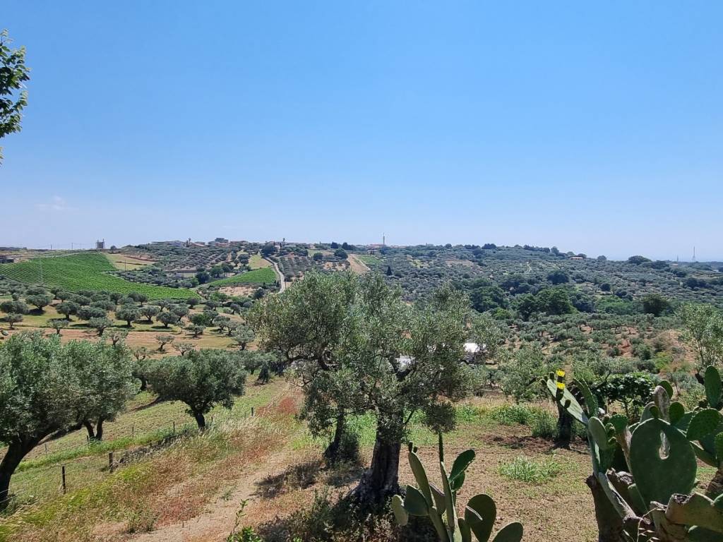Terreno a Stalettì in Strada Provinciale Centoventidue, 29 - Foto 5