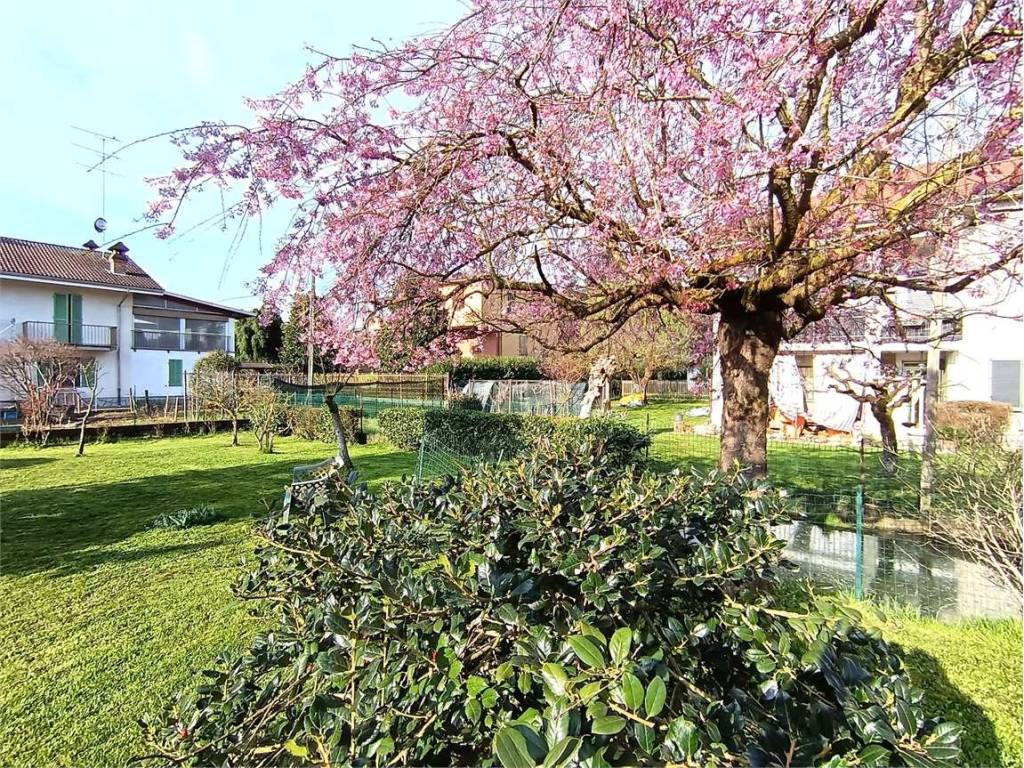 Villa a Alessandria in STRADA PROVINCIALE PAVIA, 66 - Foto 4