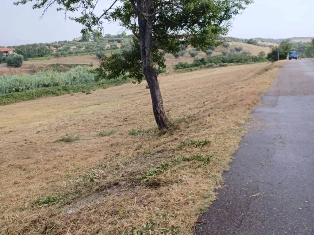 Terreno a Viterbo in Strada Monterazzano - Foto 2