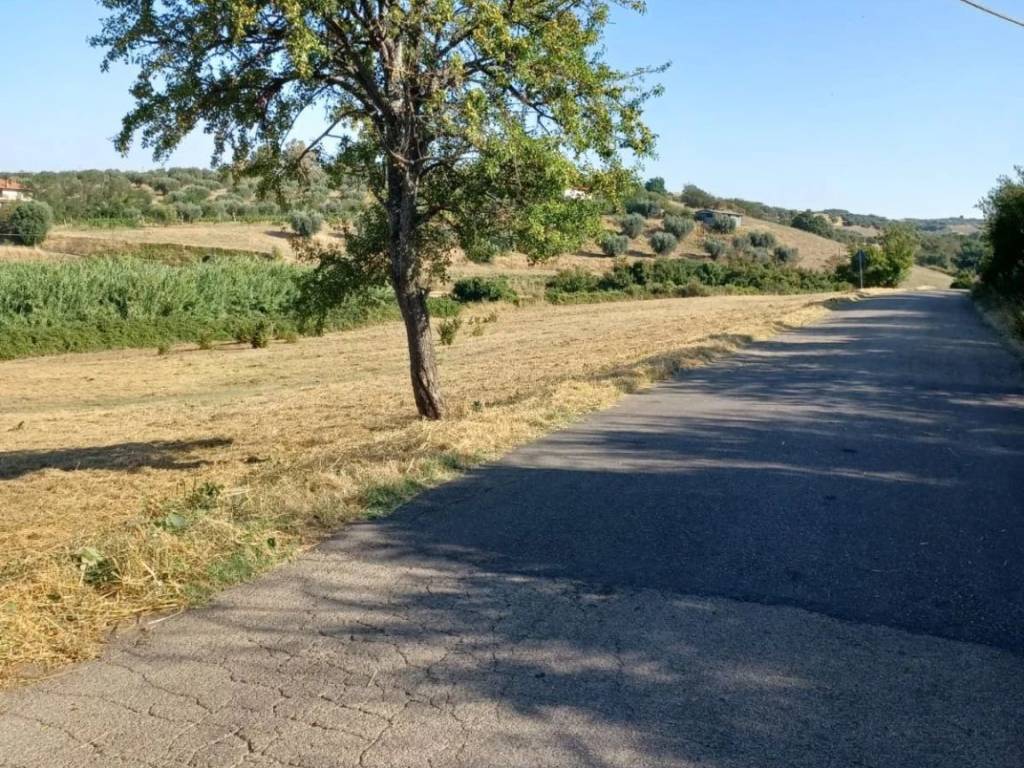 Terreno a Viterbo in Strada Monterazzano - Foto 3