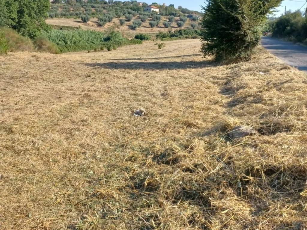 Terreno a Viterbo in Strada Monterazzano - Foto 5