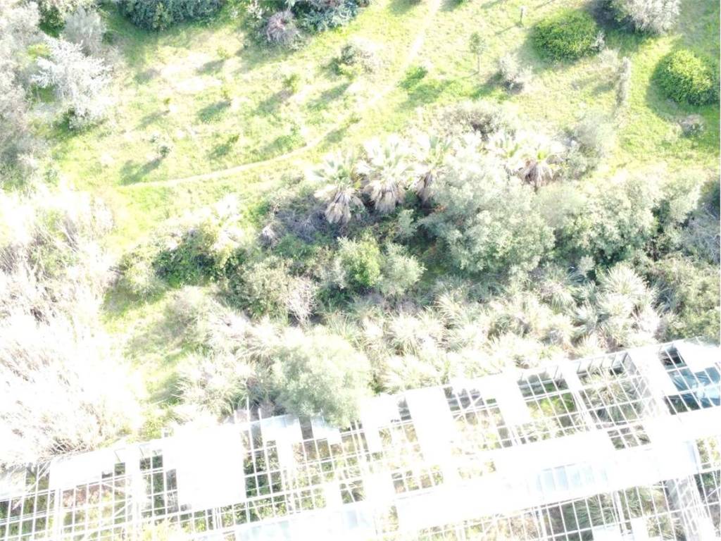 Terreno a Olbia in Strada Statale 127 settentrionale Sarda, 73 - Foto 5
