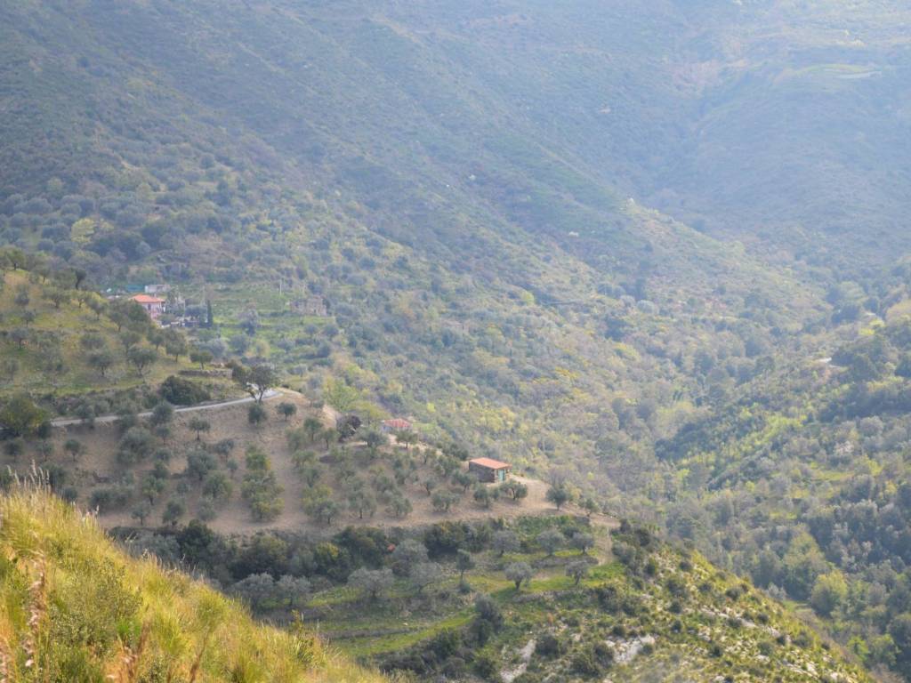 Rustico / casale a Montecorice in SP266 - Foto 3