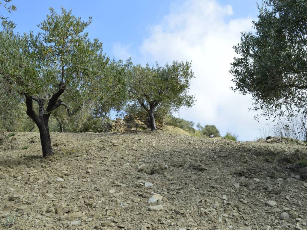 Rustico / casale a Montecorice in SP266 - Foto 4