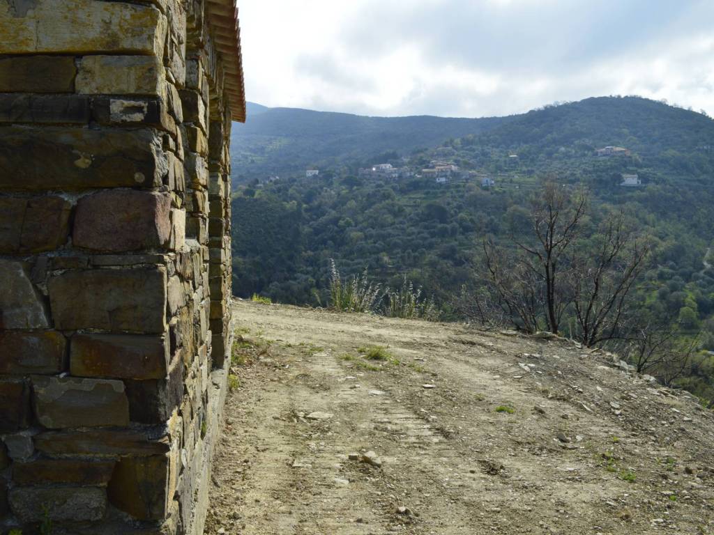 Rustico / casale a Montecorice in SP266 - Foto 5