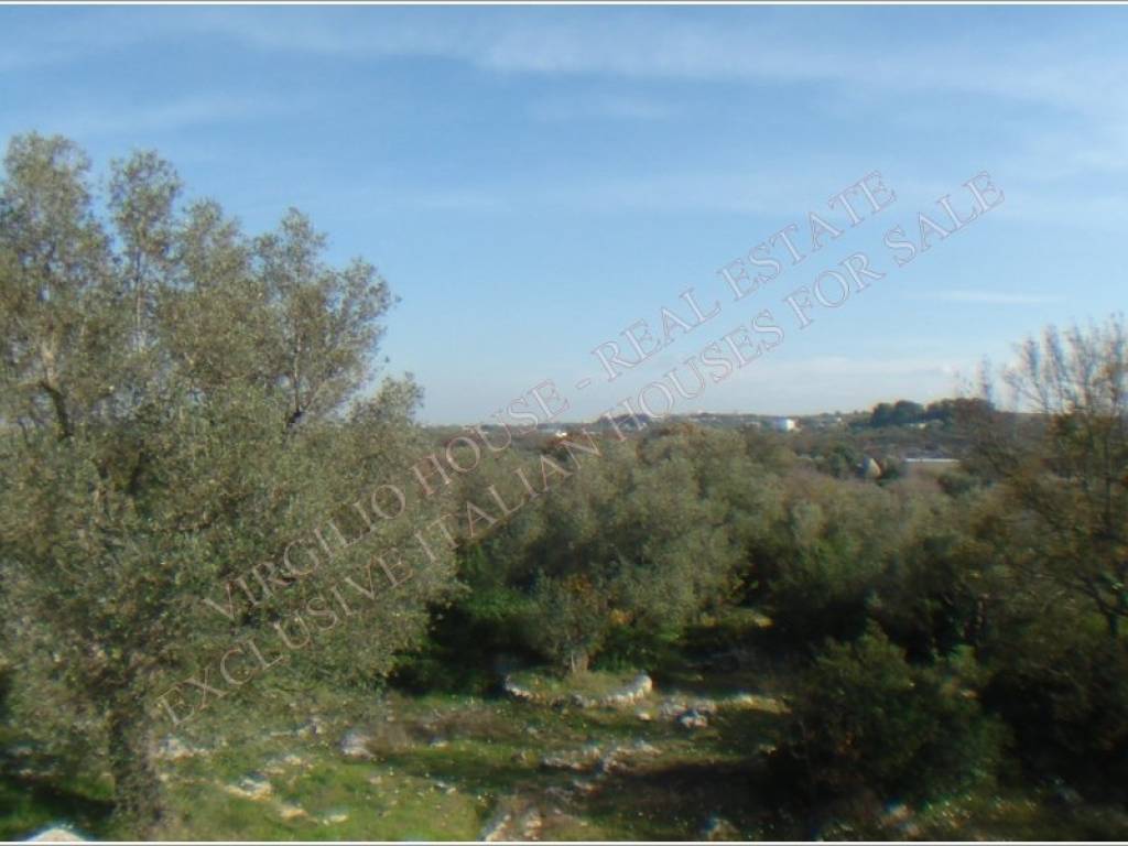 Rustico / casale a Ceglie messapica in SP3bis - Foto 3