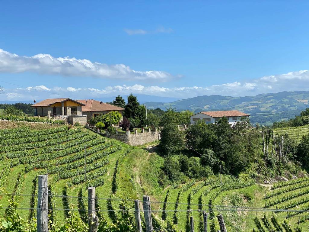 Rustico / casale a Loazzolo in Strada Provinciale per Canelli, 6 - Foto 2