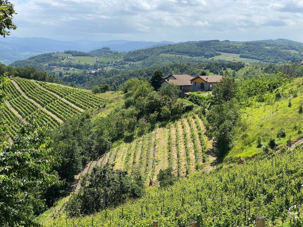 Rustico / casale a Loazzolo in Strada Provinciale per Canelli, 6 - Foto 3