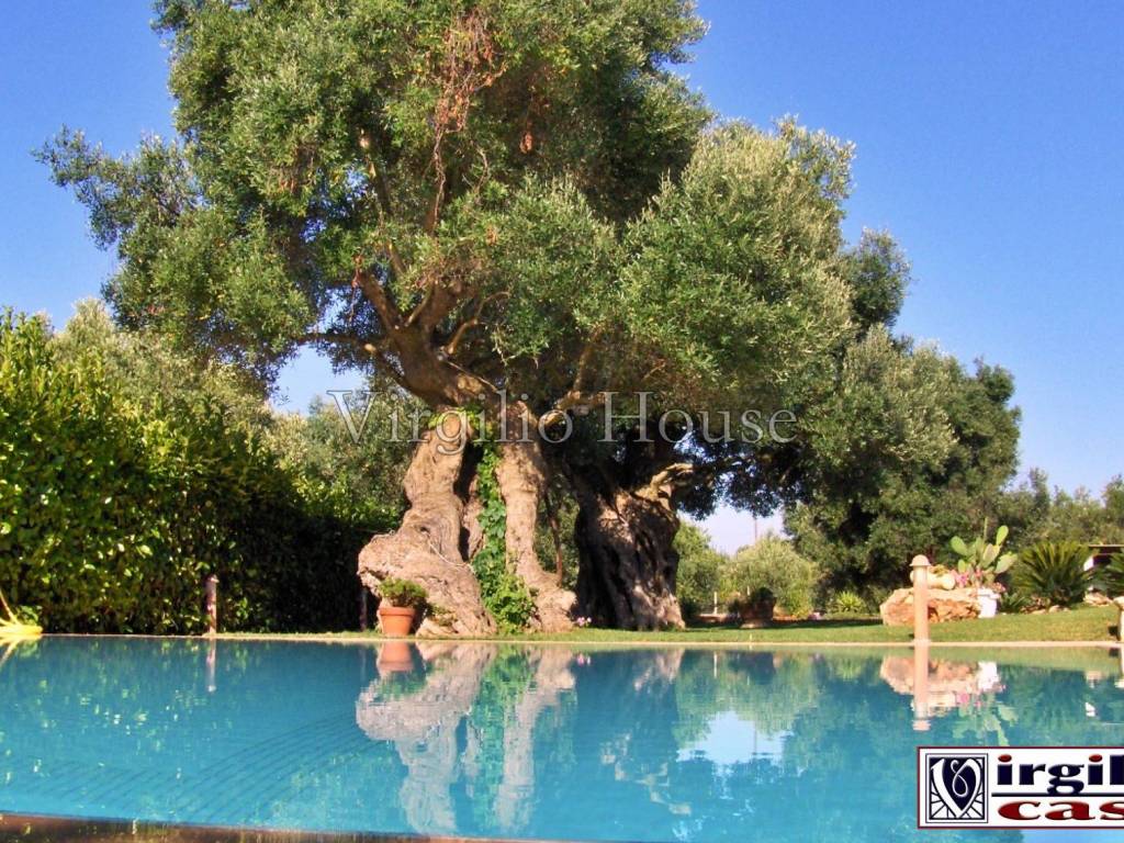 Villa a Ostuni in Contrada Camere - Foto 3