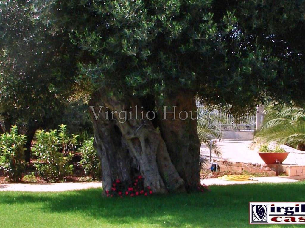 Villa a Ostuni in Contrada Camere - Foto 5