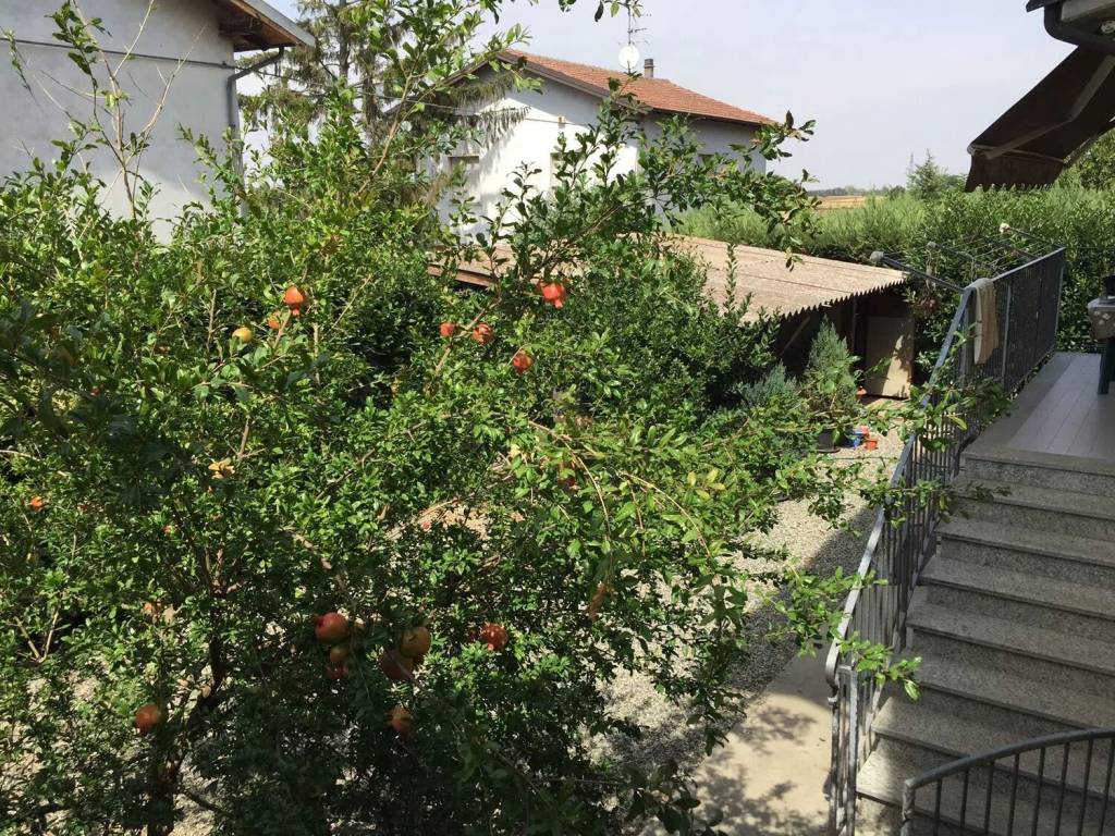 Villa a Basaluzzo in Via Novi S.N.C. - Foto 3