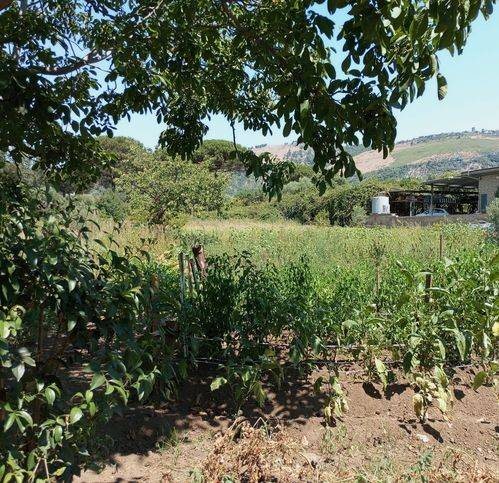 Terreno a Caserta in Via Giovanni Falcone 1 - Foto 4