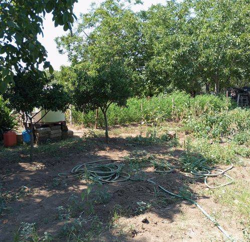 Terreno a Caserta in Via Giovanni Falcone 1 - Foto 5