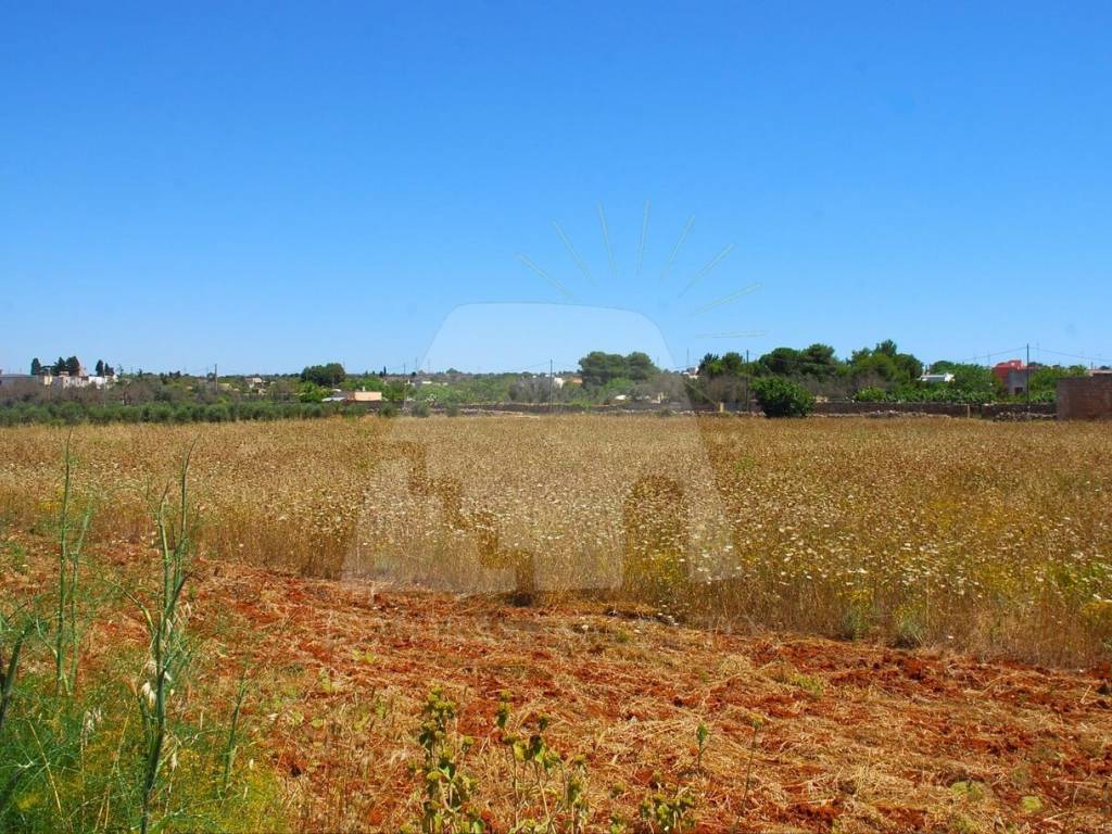 Terreno a Morciano di leuca in Strada Comunale Chiavarello - Foto 2