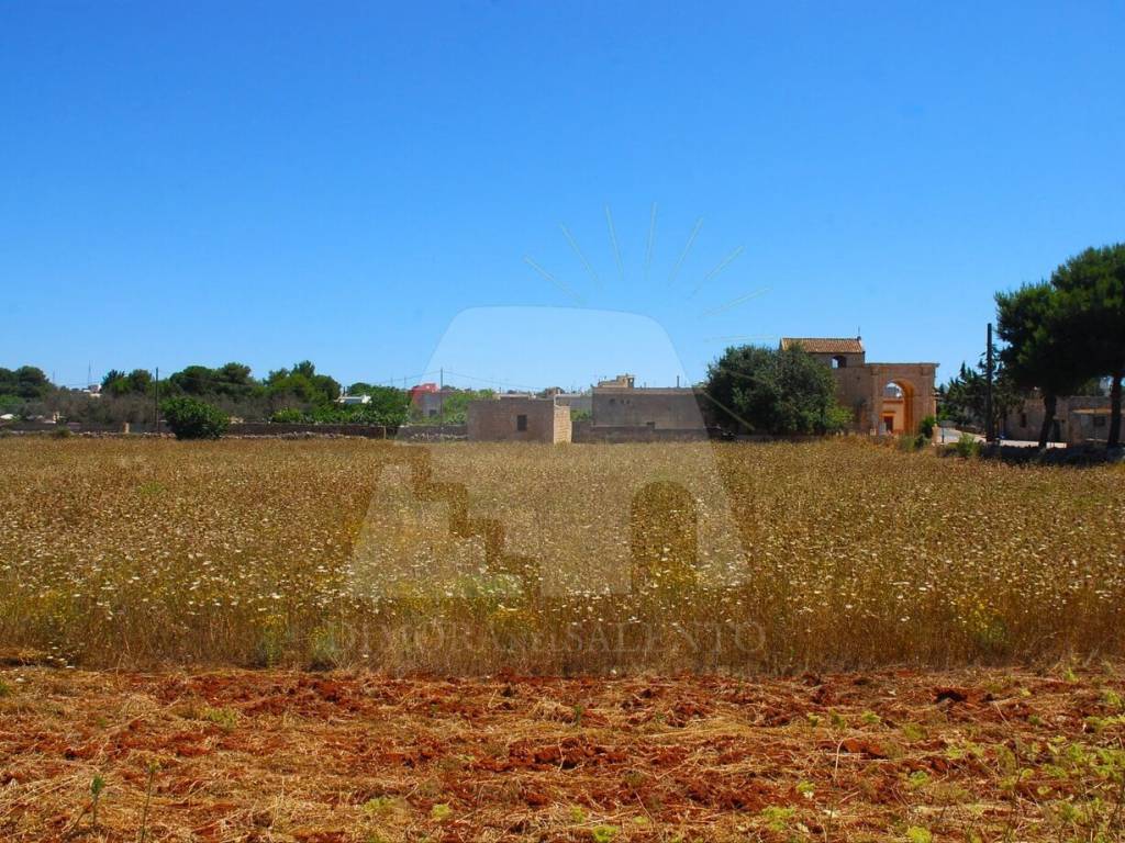 Terreno a Morciano di leuca in Strada Comunale Chiavarello - Foto 3