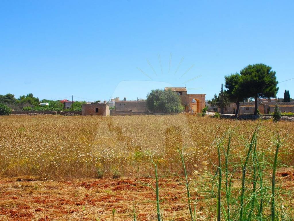 Terreno a Morciano di leuca in Strada Comunale Chiavarello - Foto 4