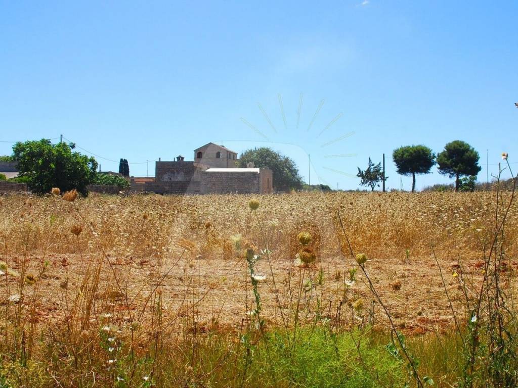 Terreno a Morciano di leuca in Strada Comunale Chiavarello - Foto 5