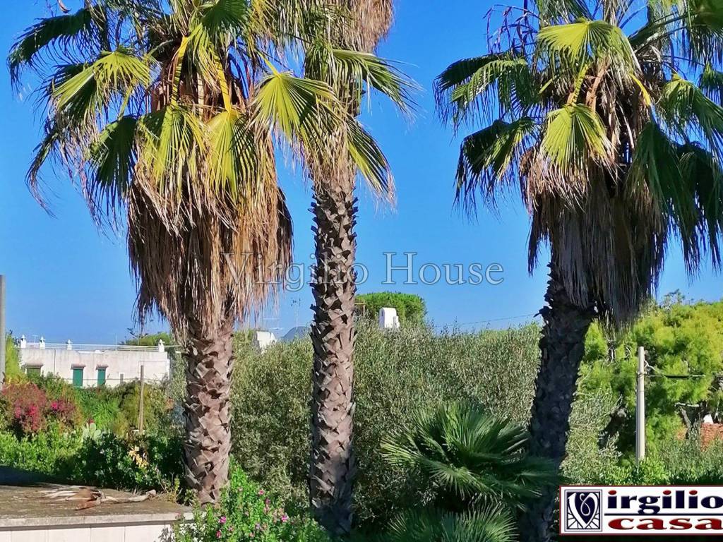 Villa a Ostuni in MONTICELLI - Foto 5