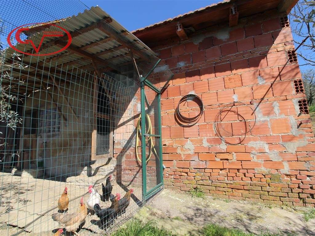 Rustico / casale a Terranuova bracciolini - Foto 4