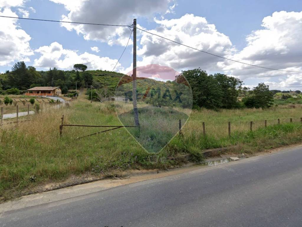 Terreno a Caltagirone in C.da Regalsemi (SP 34) - Foto 2