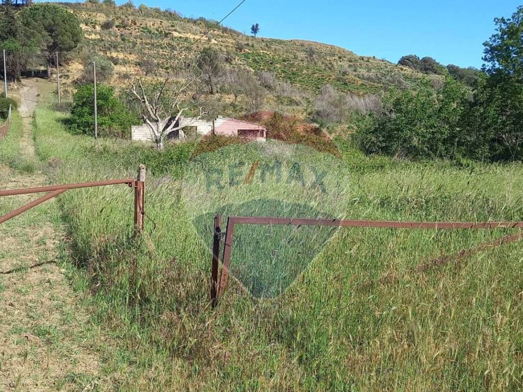 Terreno a Caltagirone in C.da Regalsemi (SP 34) - Foto 4
