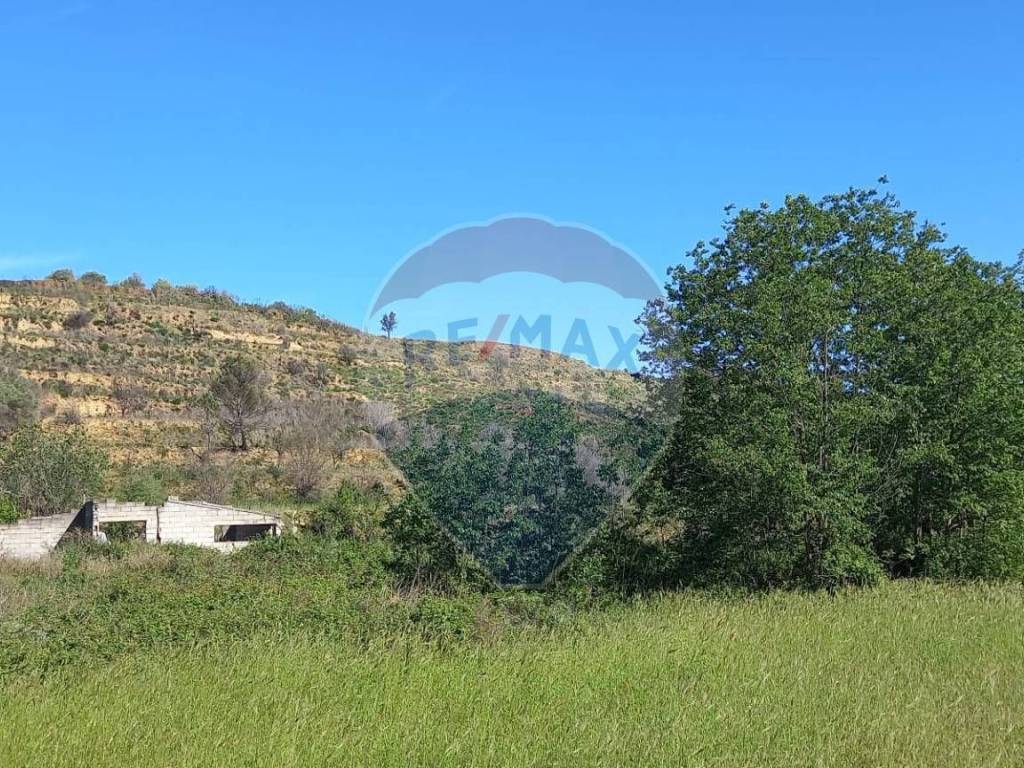 Terreno a Caltagirone in C.da Regalsemi (SP 34) - Foto 5